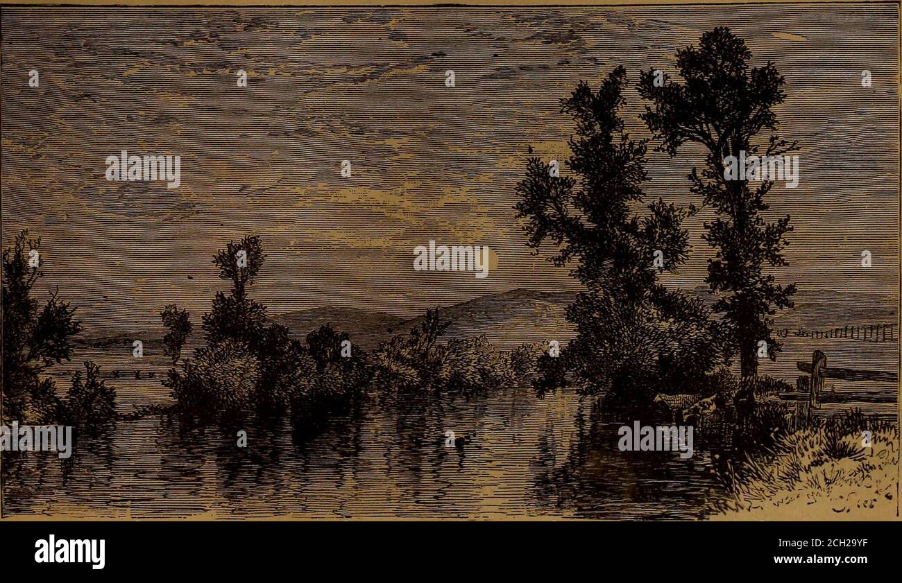 Nummernschild tennessee -Fotos und -Bildmaterial in hoher Auflösung – Alamy