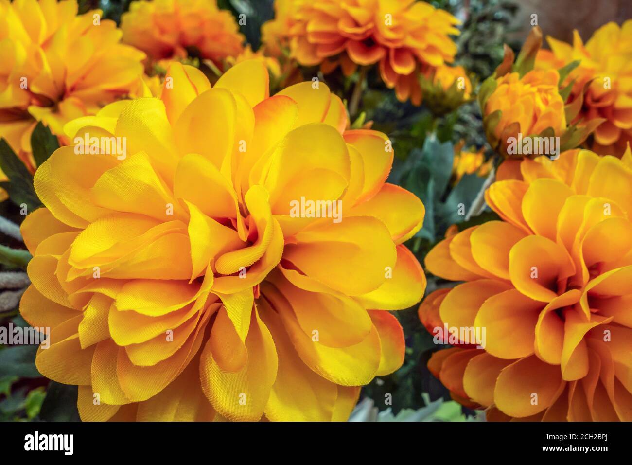 full frame artificial yellow flowers closeup Stock Photo