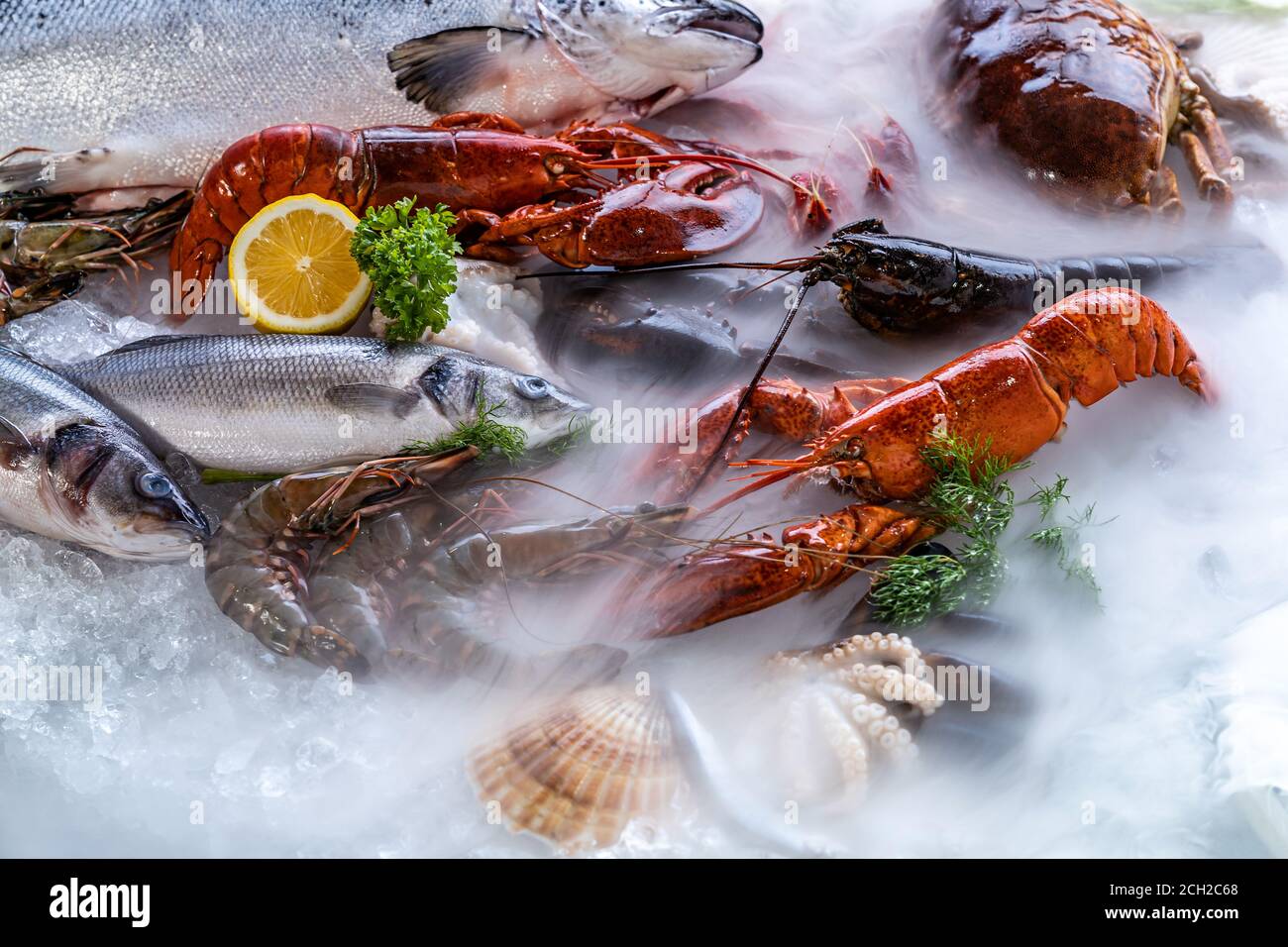 Variety of fresh luxury seafood, Lobster salmon mackerel crayfish prawn octopus mussel red snapper scallop and stone crab, on ice background with icy Stock Photo