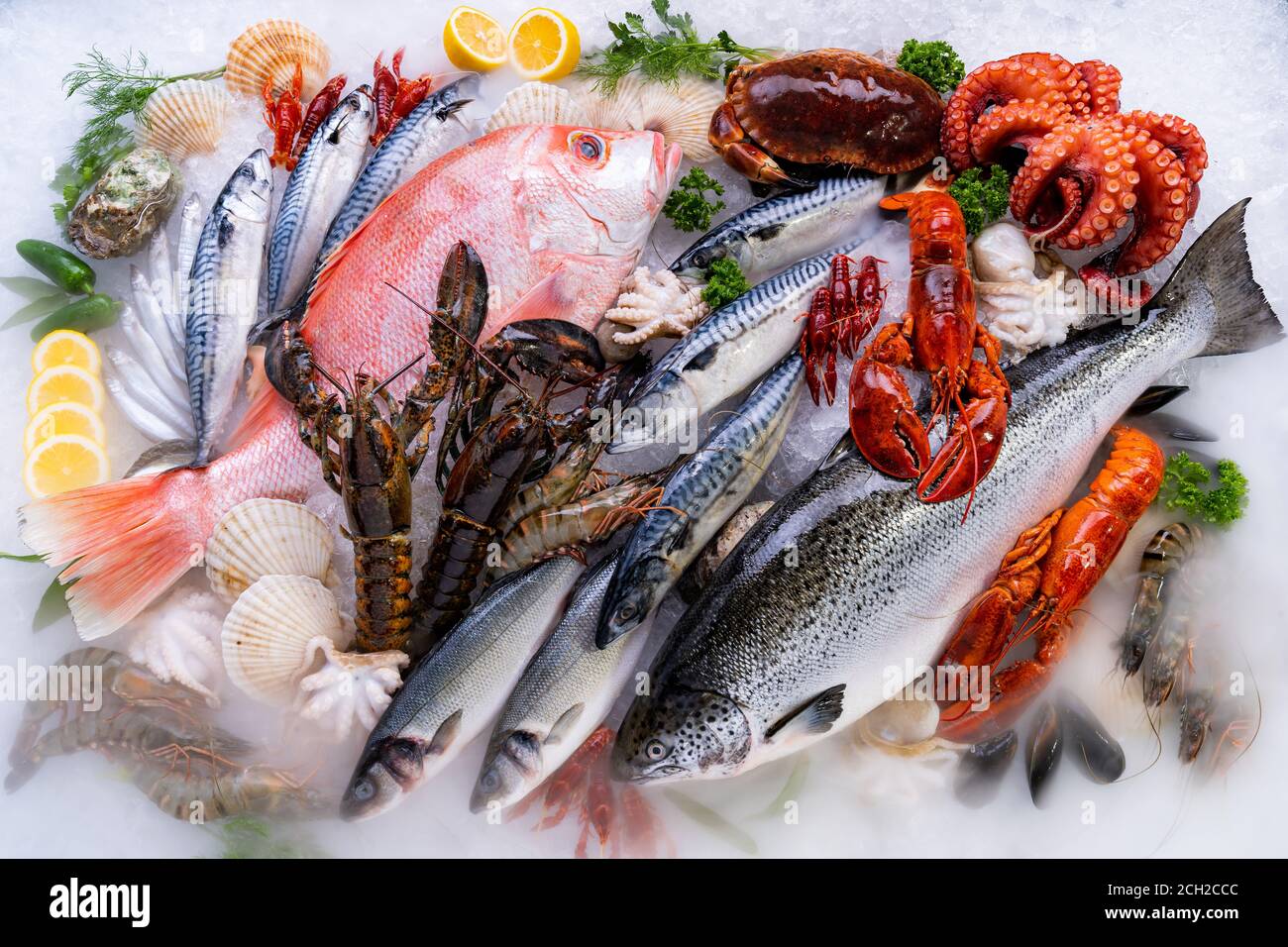 Top view Variety of fresh luxury seafood, Lobster salmon mackerel crayfish prawn octopus mussel red snapper scallop and stone crab, on ice background Stock Photo