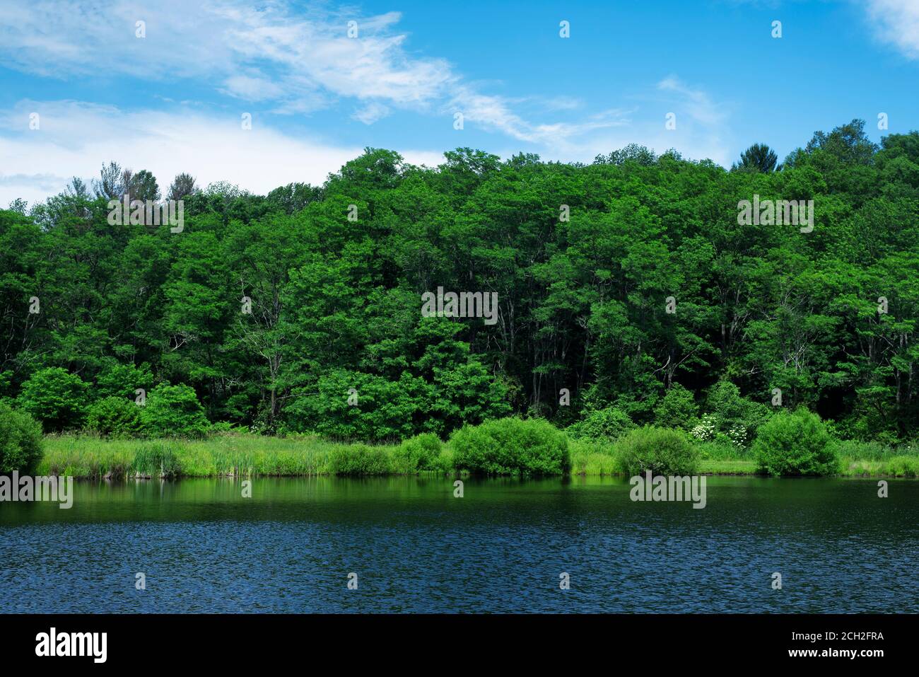 Sunnybrook state park hires stock photography and images Alamy