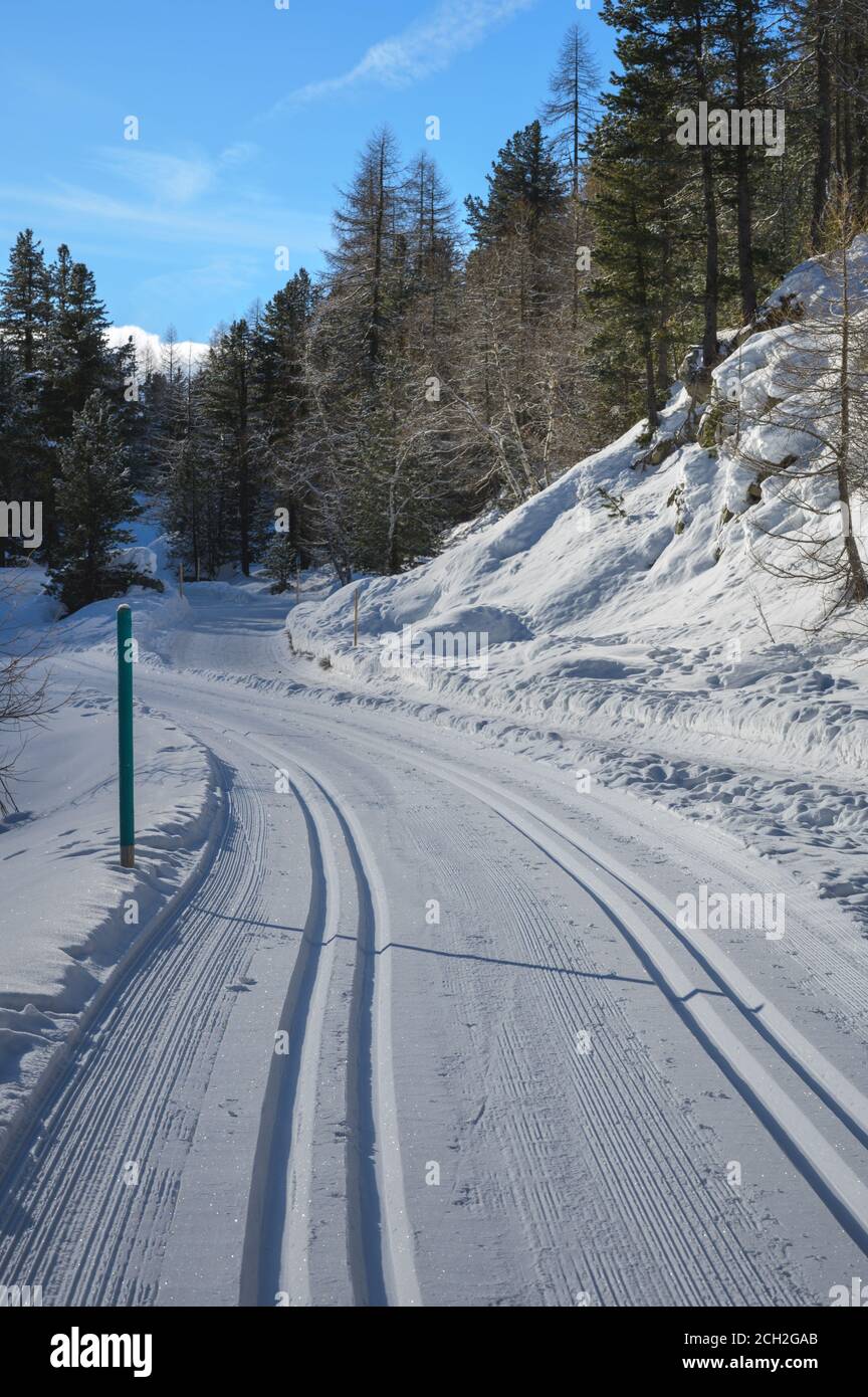 Cross-country ski run on Roseg valley, Upper-Engadine valley, Grisons, Graubunden, Switzerland Stock Photo