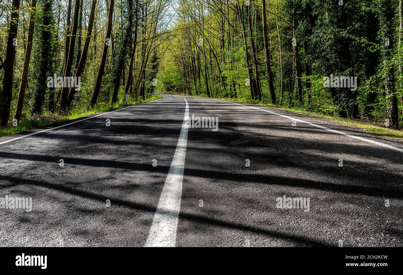 view from the forest asphalt road Stock Photo - Alamy