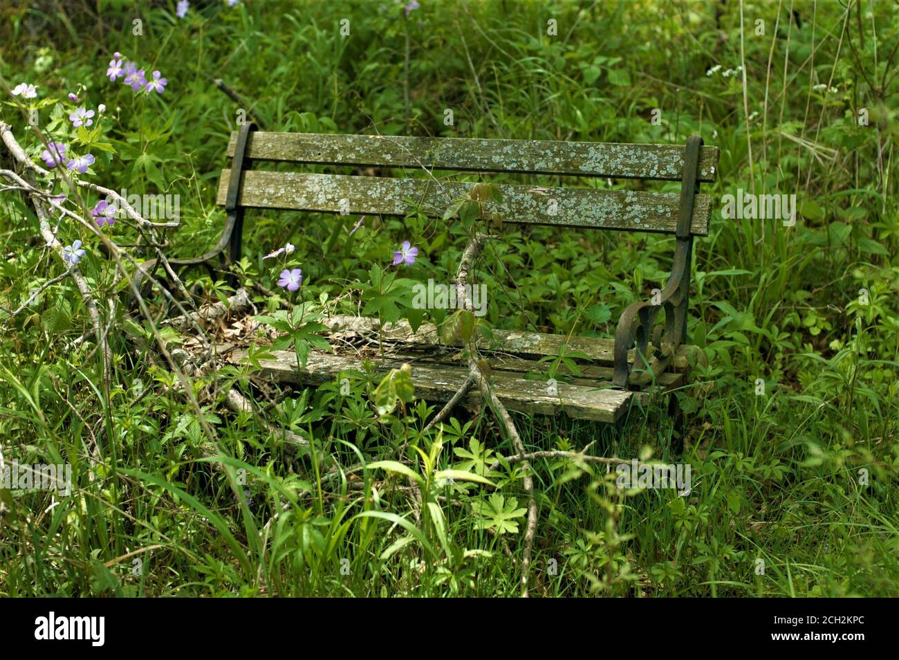 concrete angel on a blue bench Stock Photo Alamy