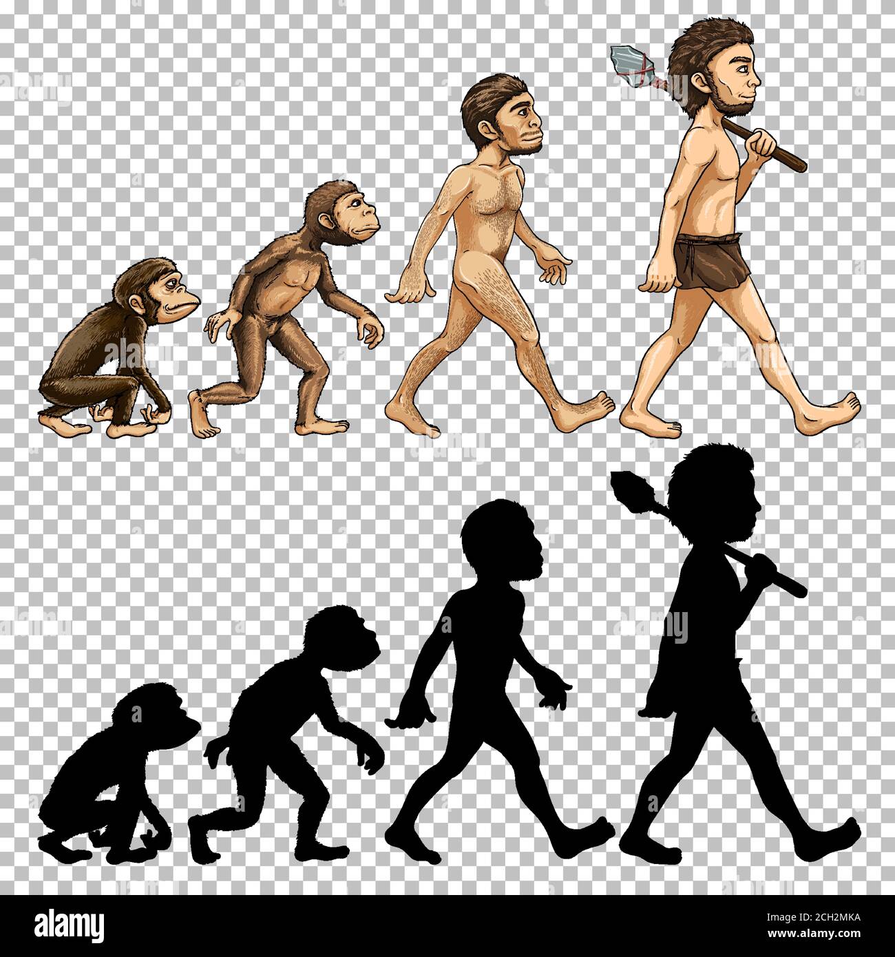Set of human evolution transparent background illustration Stock Vector