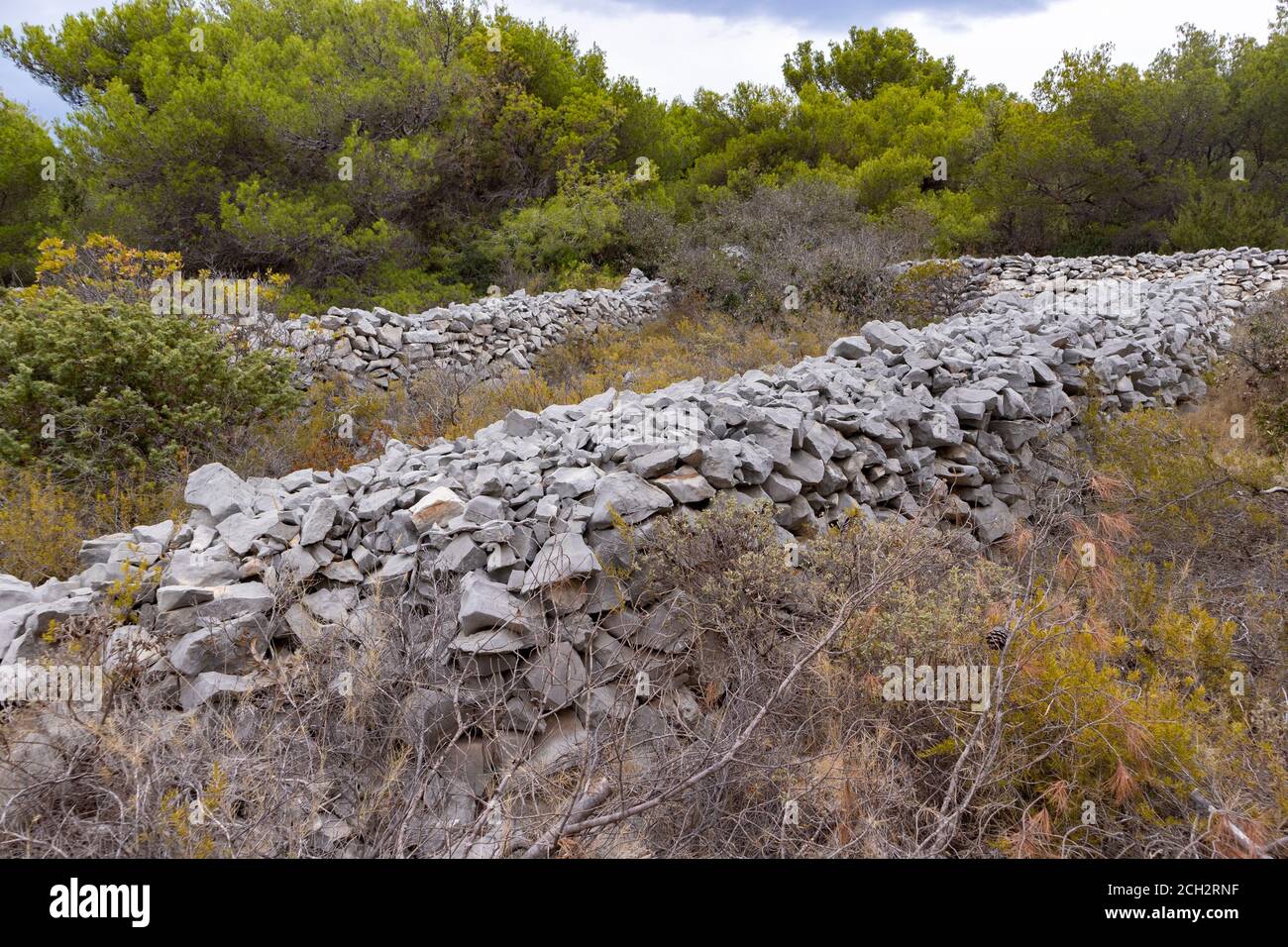 Beautiful, traditional Dalmatian symbol, stone drywall on the Hvar island, Croatia, at the forest trail  by the beach Stock Photo