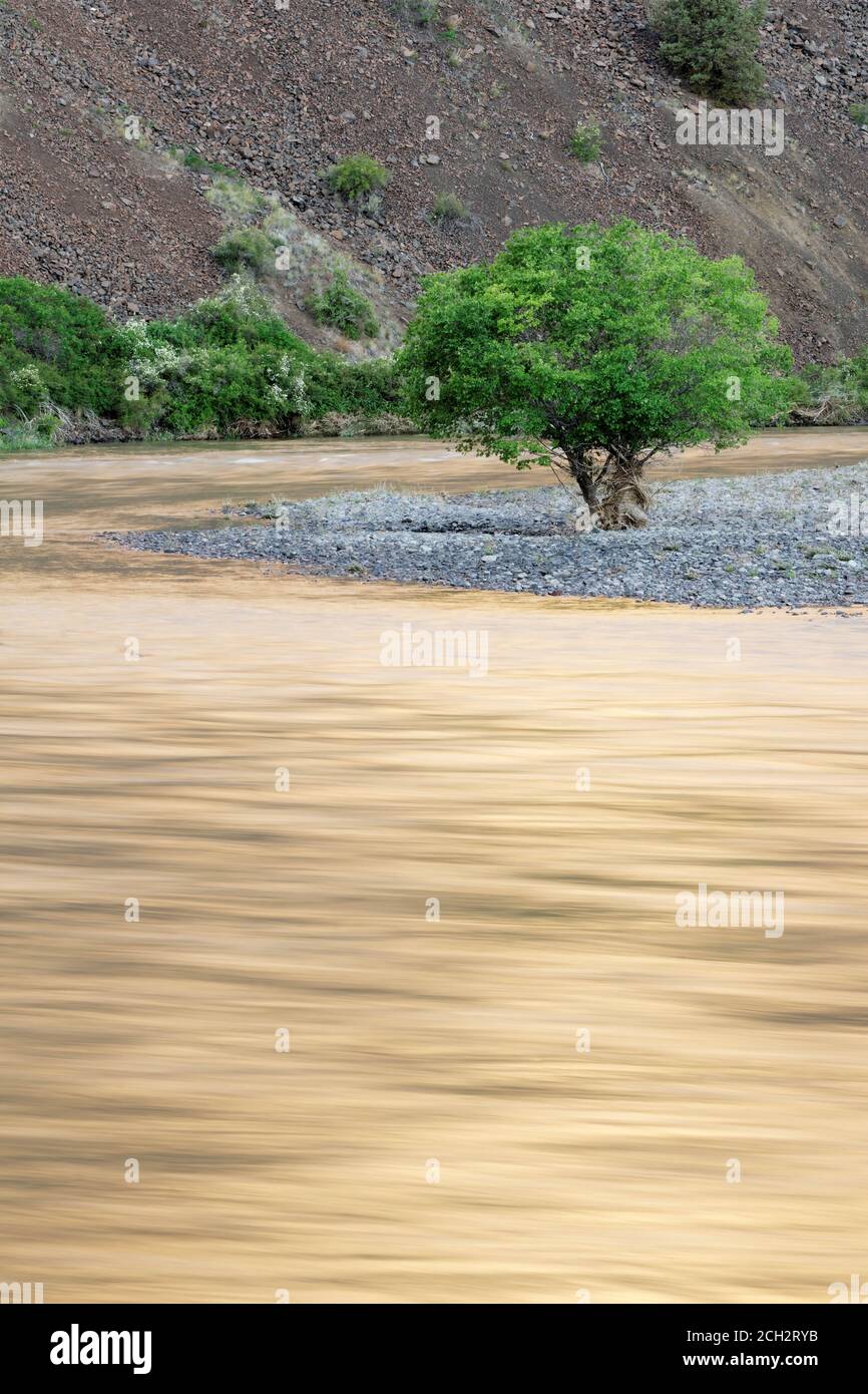John Day River flowing through desert canyon, north central Oregon, Oregon, USA Stock Photo