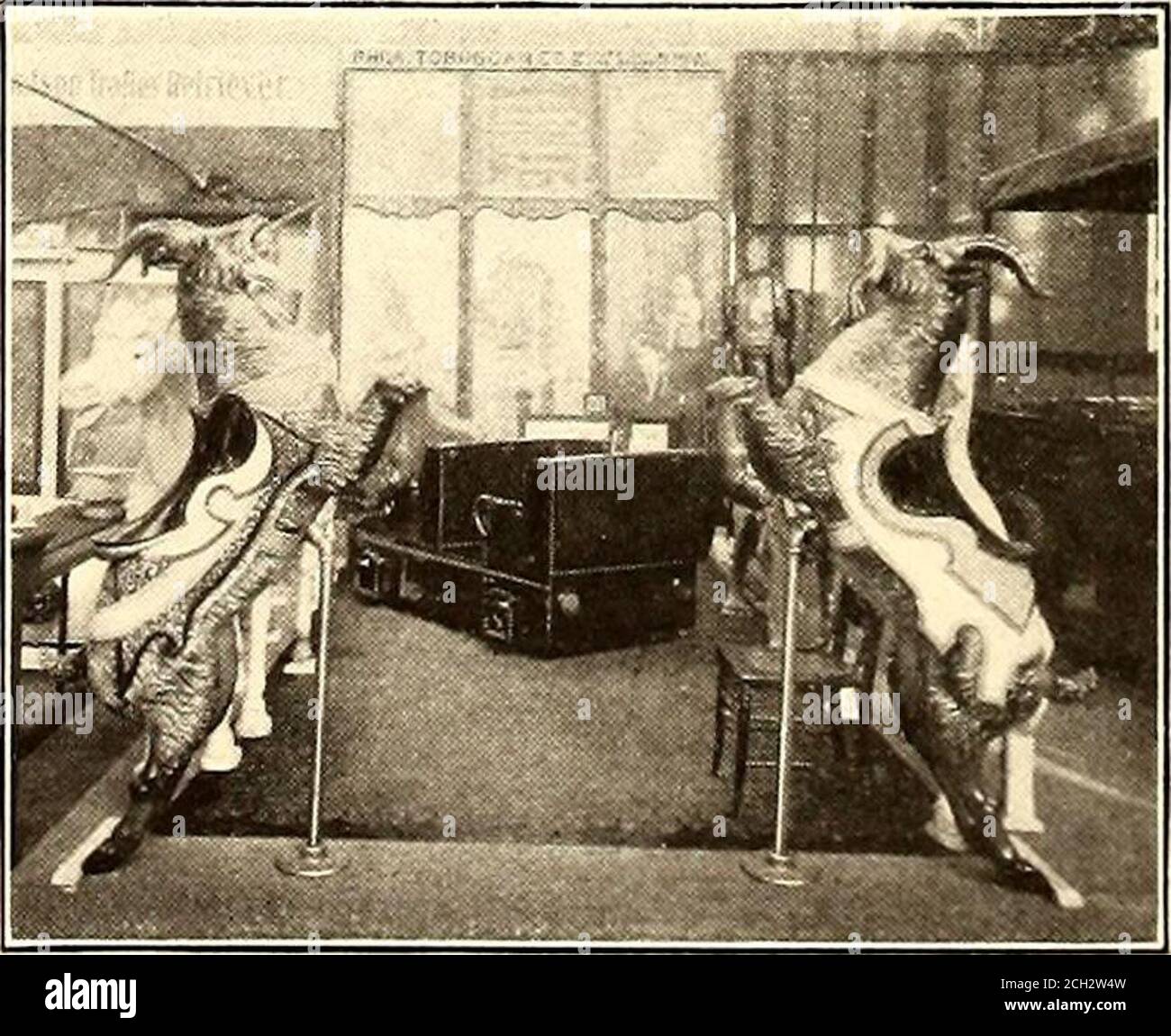 Philadelphia toboggan company hires stock photography and images Alamy