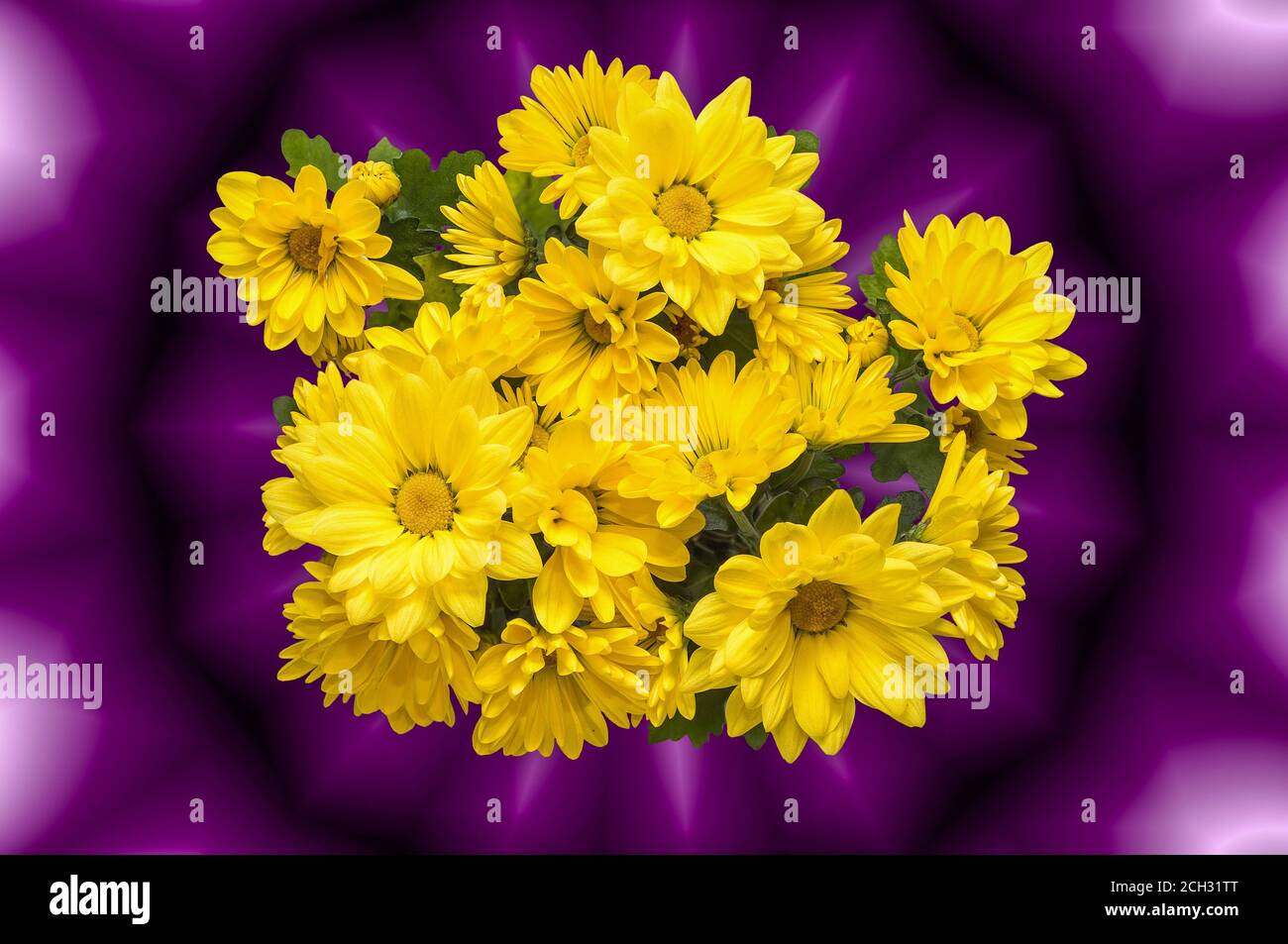 abstract wallpaper, background with a bouquet of yellow flowers