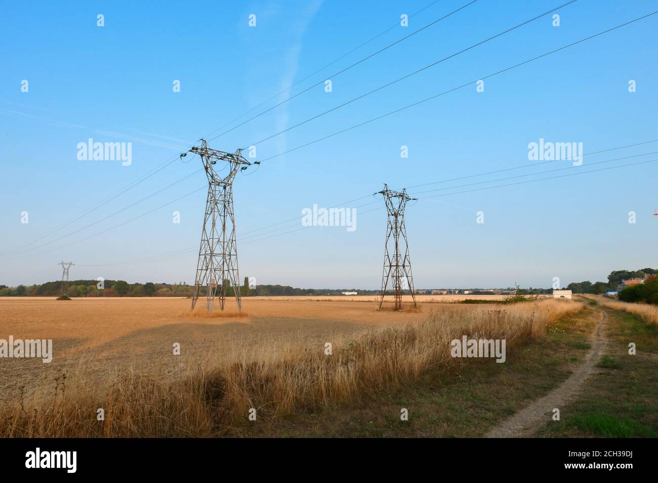 Group of electric pylons, high voltage lines. Overhead cables carrying electricity to cities. Stock Photo