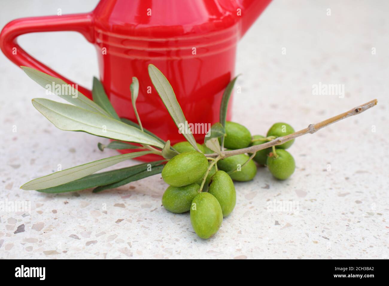 Branch of green olives and a jug of olive oil Stock Photo