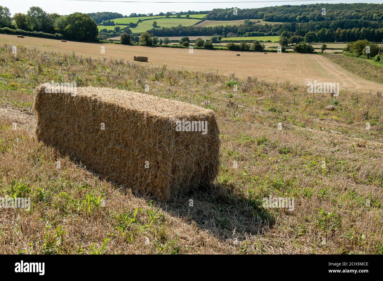 Wendover Dean, Aylesbury Vale, Buckinghamshire, UK. 13th September