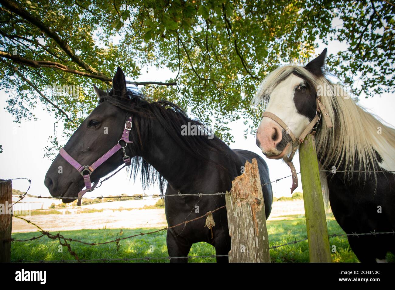 Wendover Dean, Aylesbury Vale, Buckinghamshire, UK. 13th September