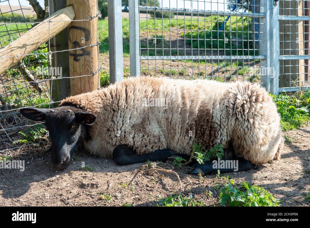 Wendover Dean, Aylesbury Vale, Buckinghamshire, UK. 13th September