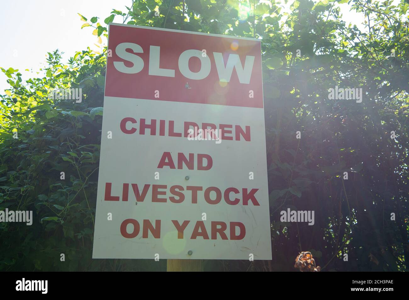 Wendover Dean, Aylesbury Vale, Buckinghamshire, UK. 13th September