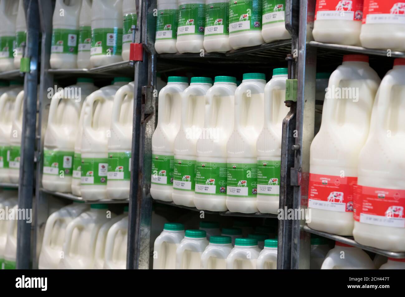 Containers of milk in a supermarket refrigerator in New York Stock Photo -  Alamy