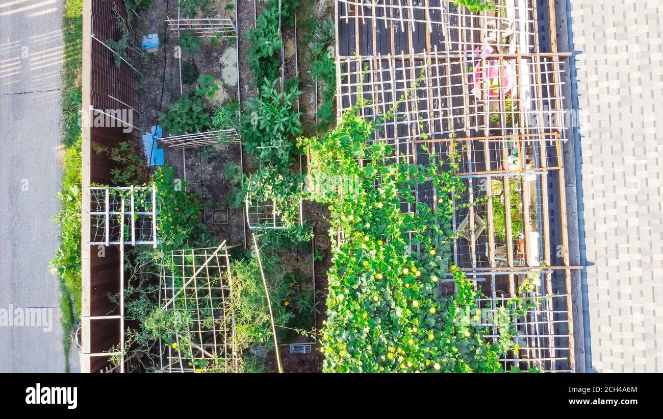 Aerial view roof shingle with Asian backyard garden at residential area