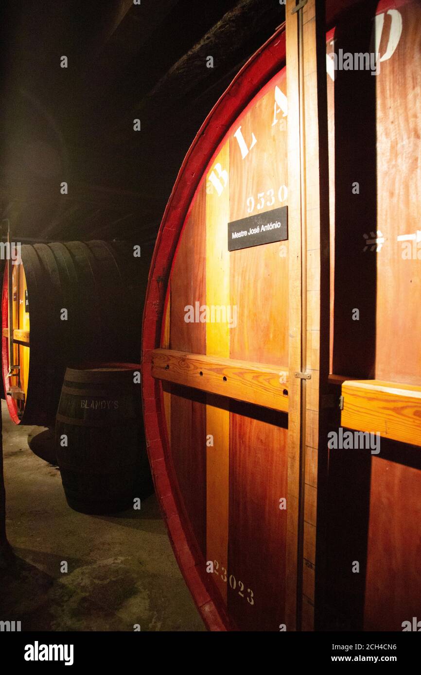 Barrels of Madeira wine at Blandy’s in Madeira, Portugal Stock Photo