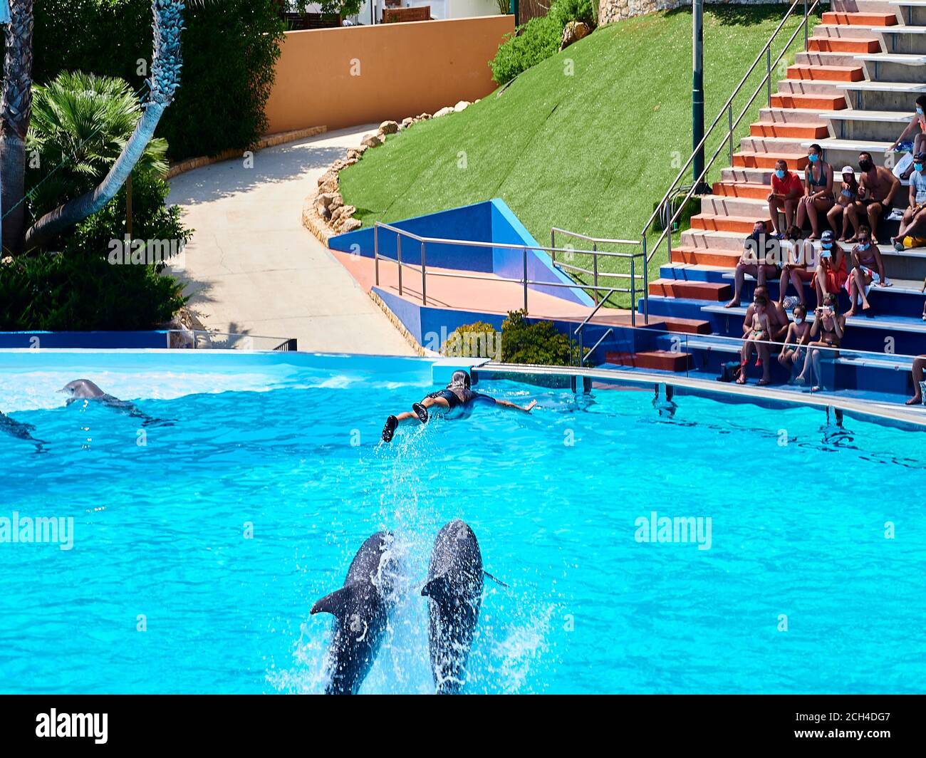 Dolphins jumping out of water on the pool of zoo marina, Albufeira, Portugal Stock Photo