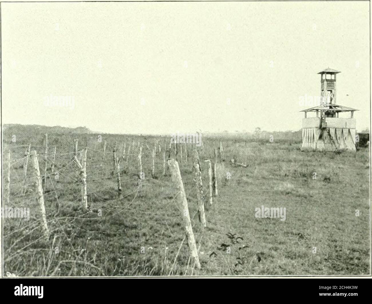 . Book of the Royal blue . l.UIMi TO THE FIELDS. CONCIIITA ESTATE. Santa Clara Province, and the Cuban Cen-tral Railway, which embraces all line.sof importance in Santa Clara Province,excepting twenty-five miles of line on thesouth coast which connects Sancti Spirituswith its seaport of Tunas de Zaza. Santi-ago Province has only about sixty miles ofrailroad all told, and yet this sixty miles comprises four distinct lines. There is asmall road from Santiago de Cuba northinto the interior as far as San Luis, with abranch to Sabanilla; the fiuantanamo roadrunning from Caimanera, through Cuan-tana Stock Photo