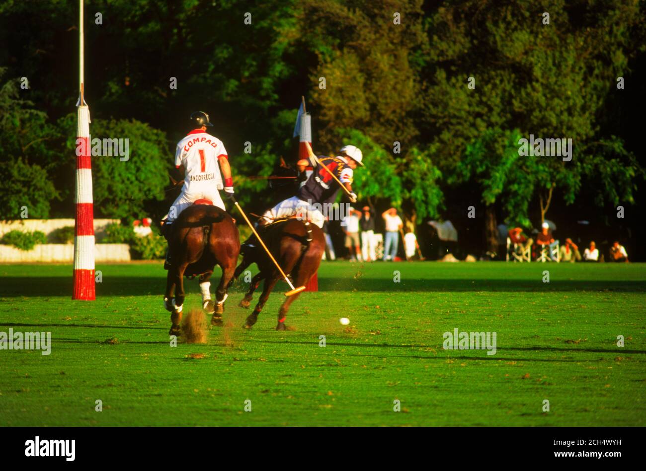 Polo players in action at Campo de Polo in Buenos Aires, Argentina Stock Photo