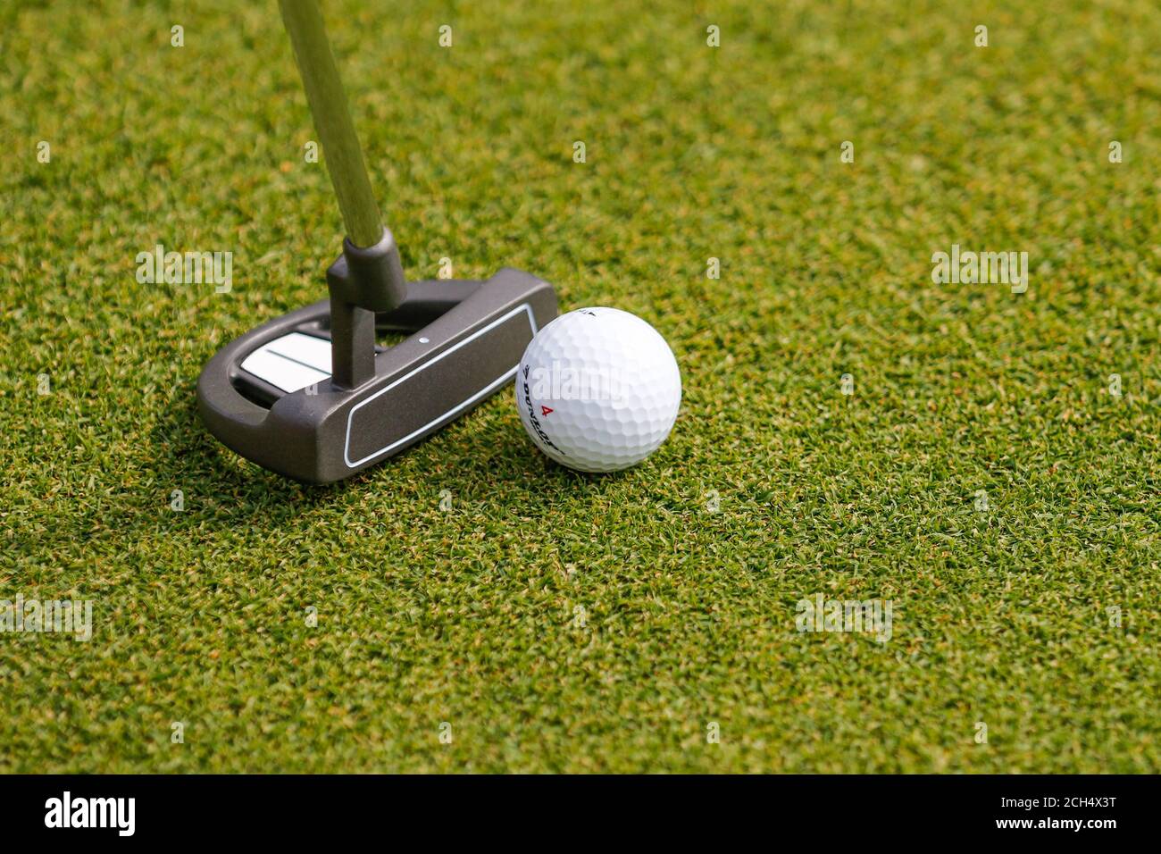 Golf ball in golfer's hand Stock Photo Alamy