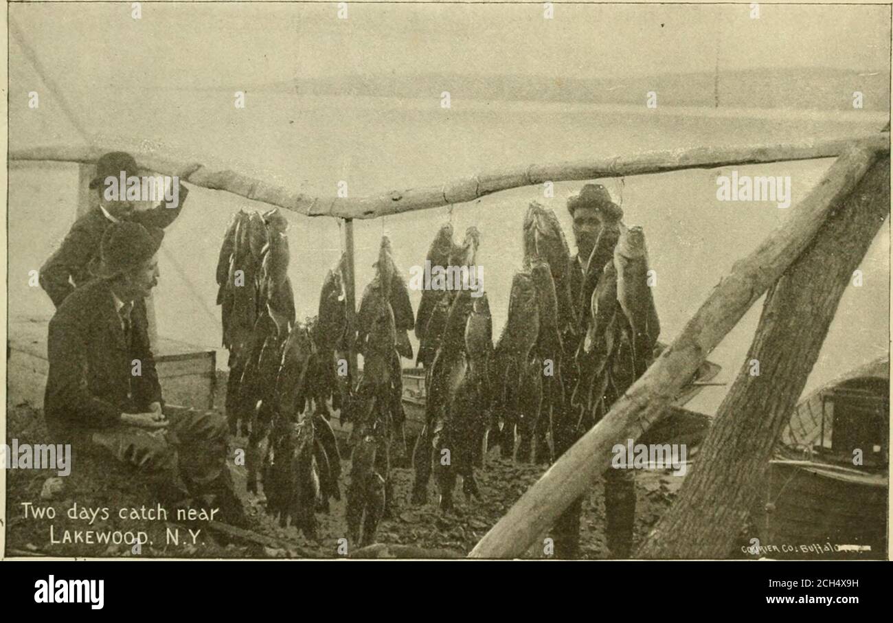 Ultra Rare High Resolution Stock Photography And Images Alamy