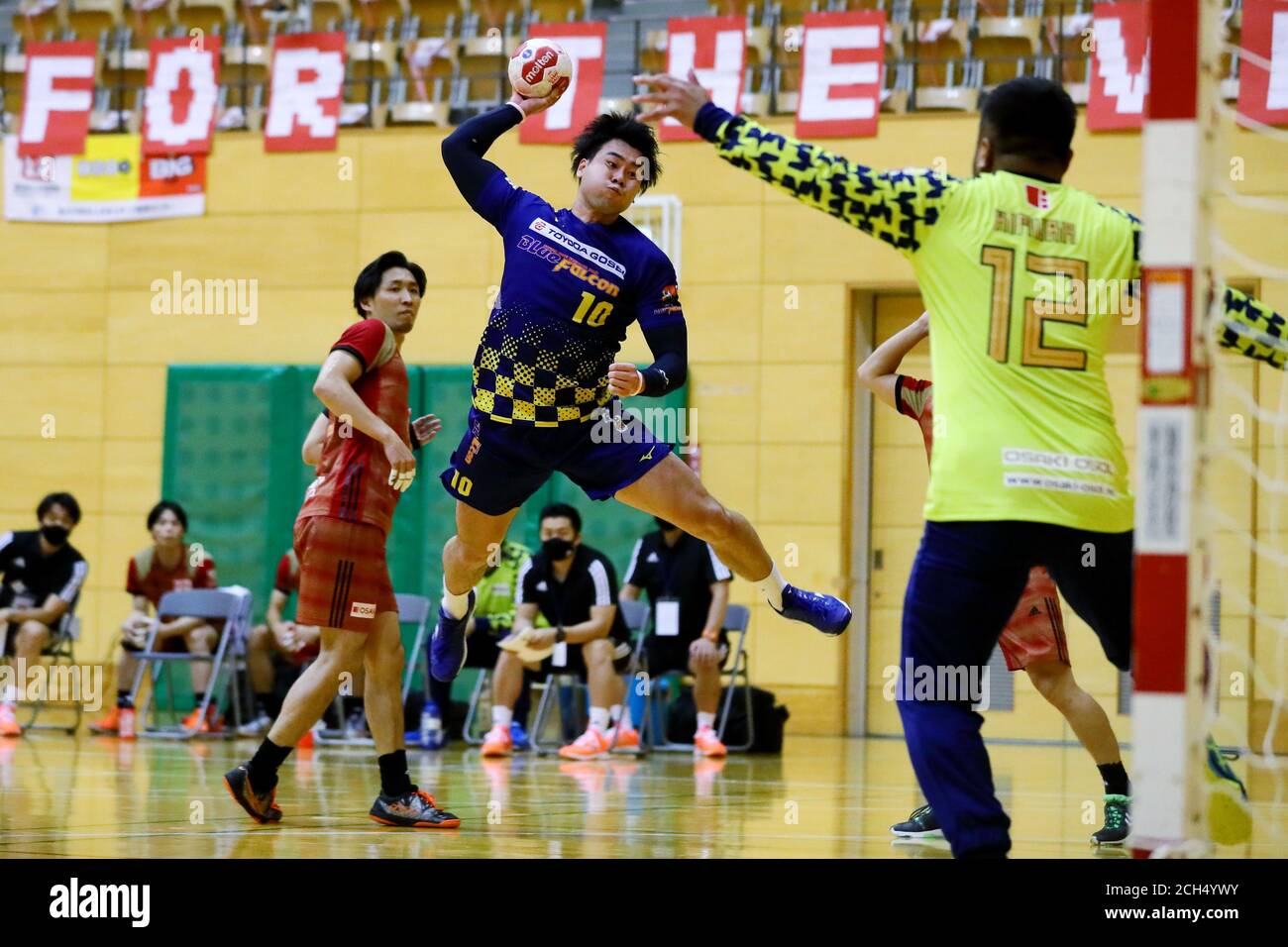 japan handball league