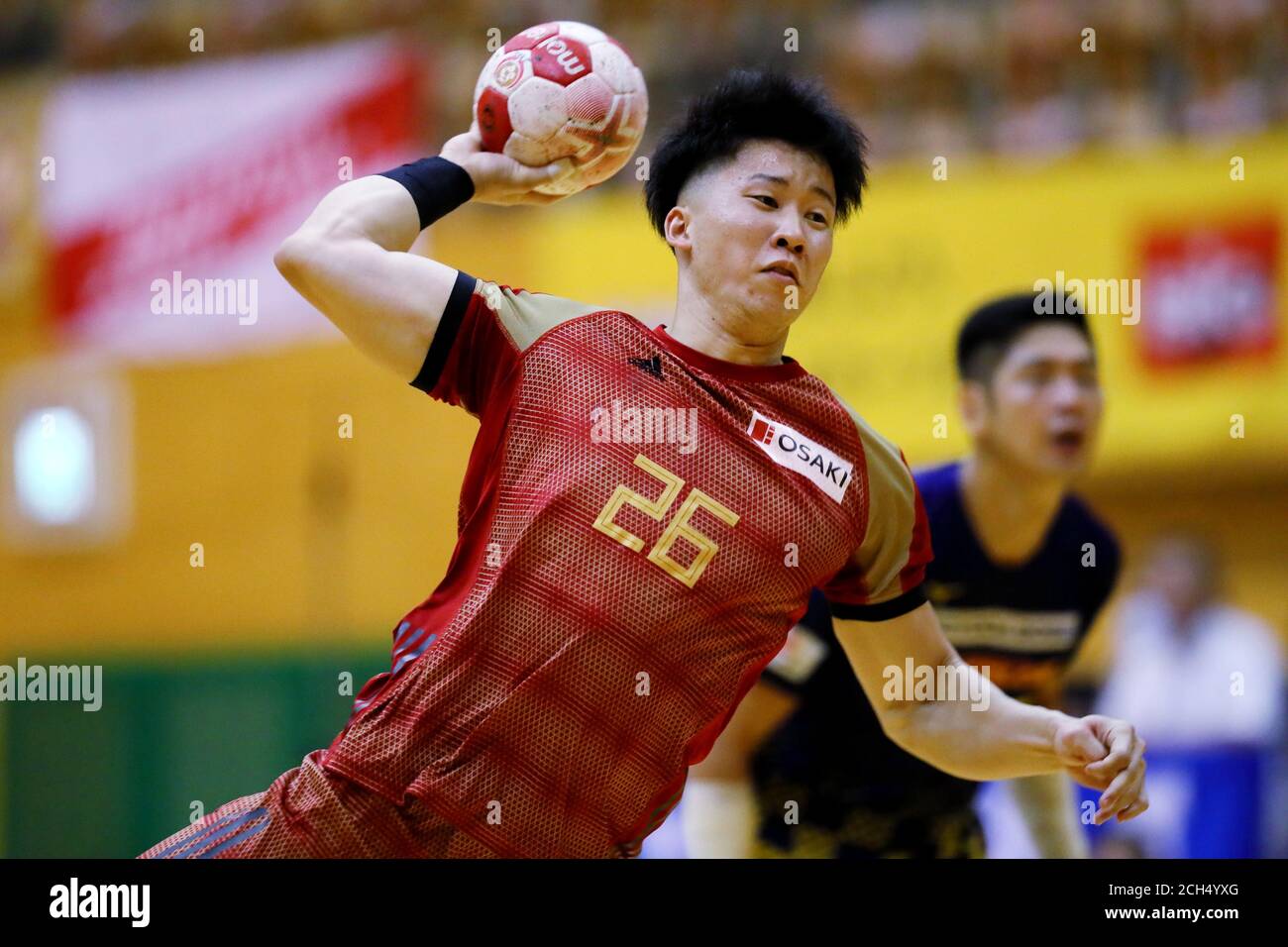 japan handball league