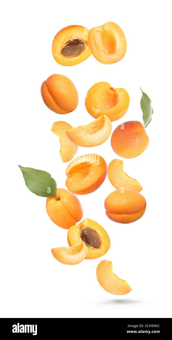Falling ripe apricots on white background Stock Photo