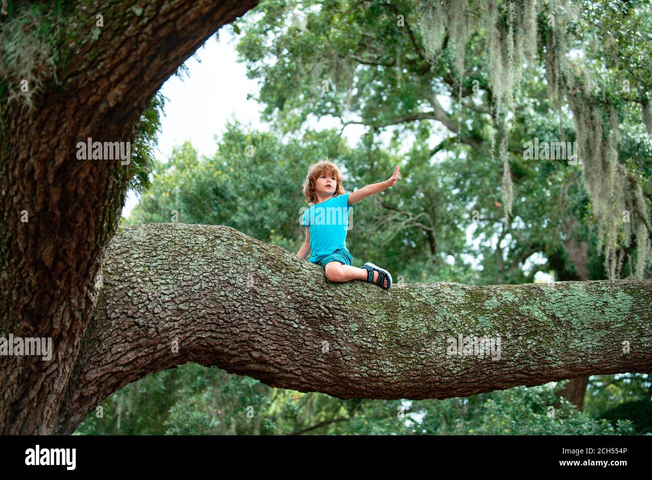 Kids climbing trees. Toddler child learning to climb having fun in park. Stock Photo