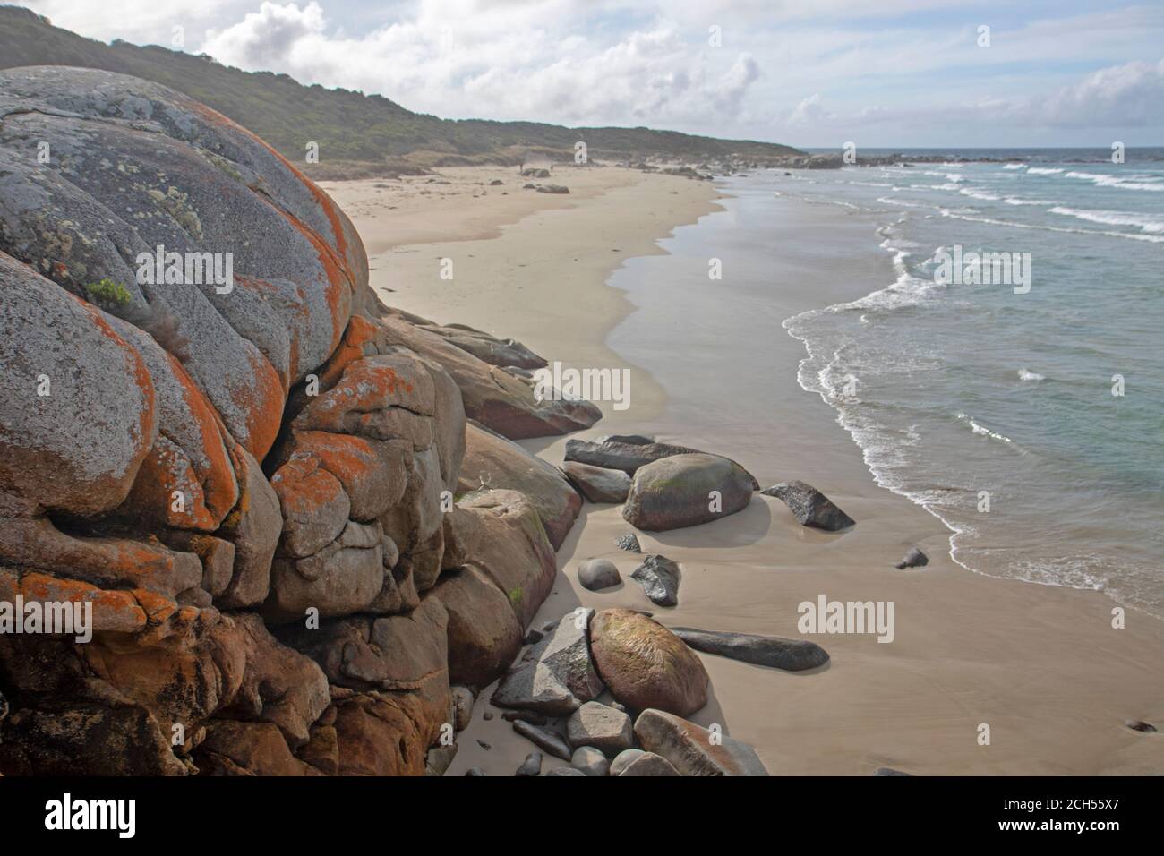Beer barrel beach hires stock photography and images Alamy