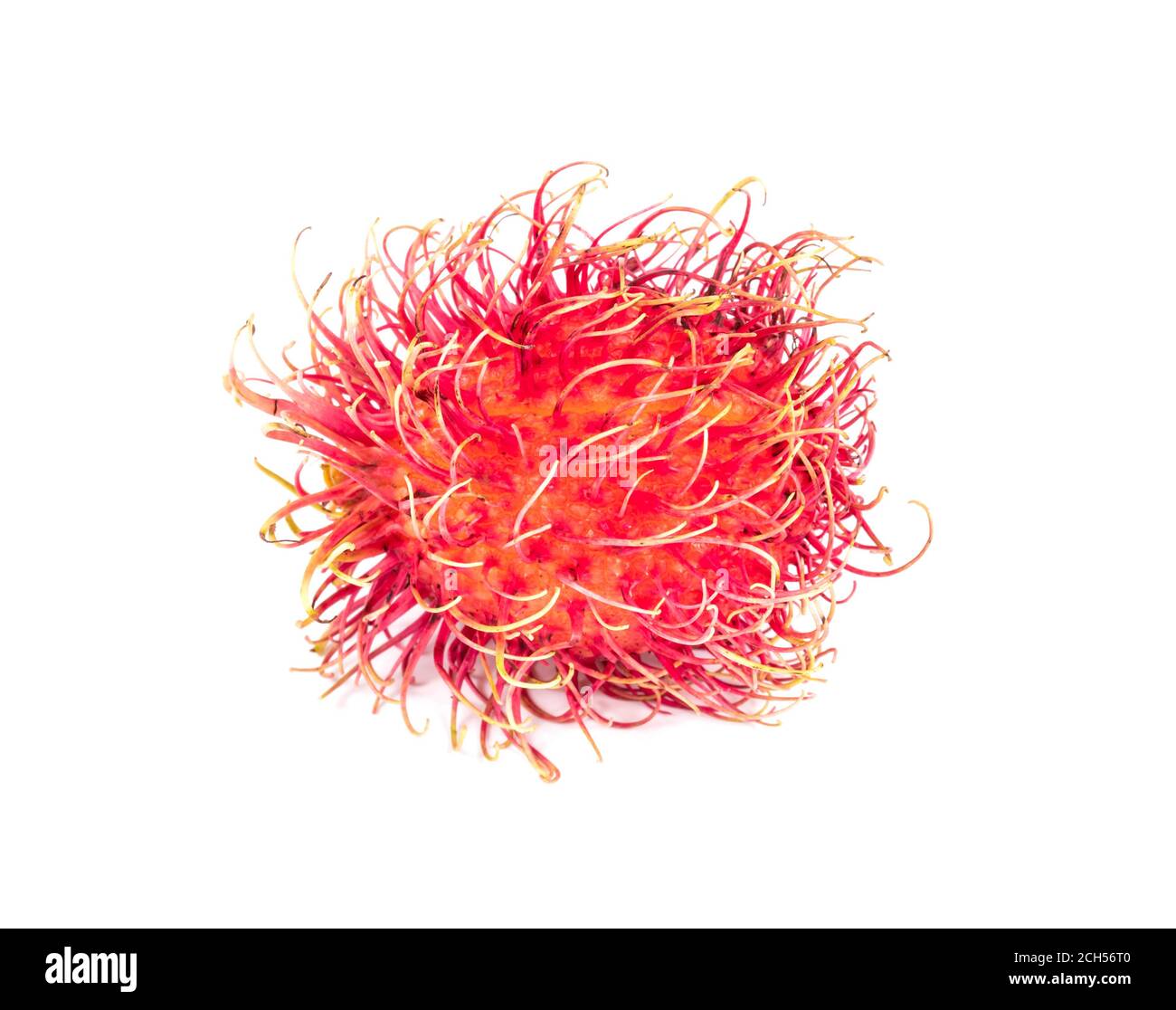 rambutan isolated on white background Stock Photo - Alamy