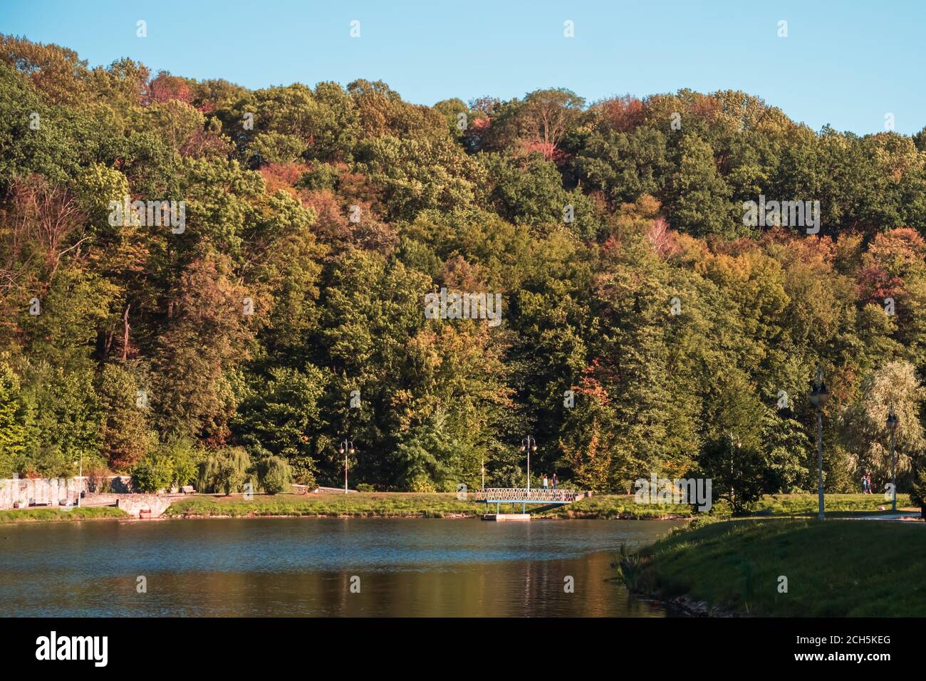 Landscape view on autumn golden trees in a park Stock Photo - Alamy