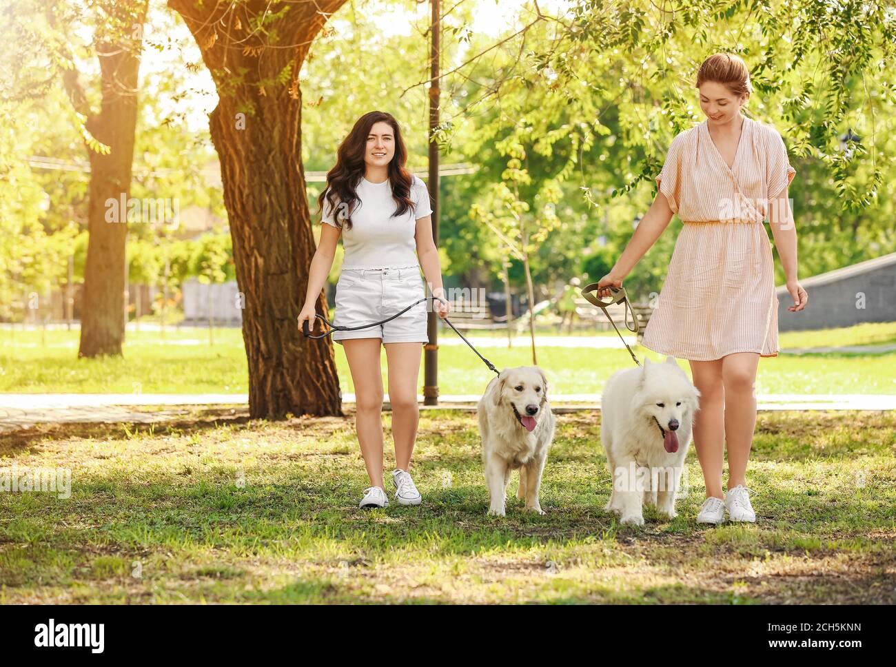 Young women with cute dogs walking in park Stock Photo - Alamy