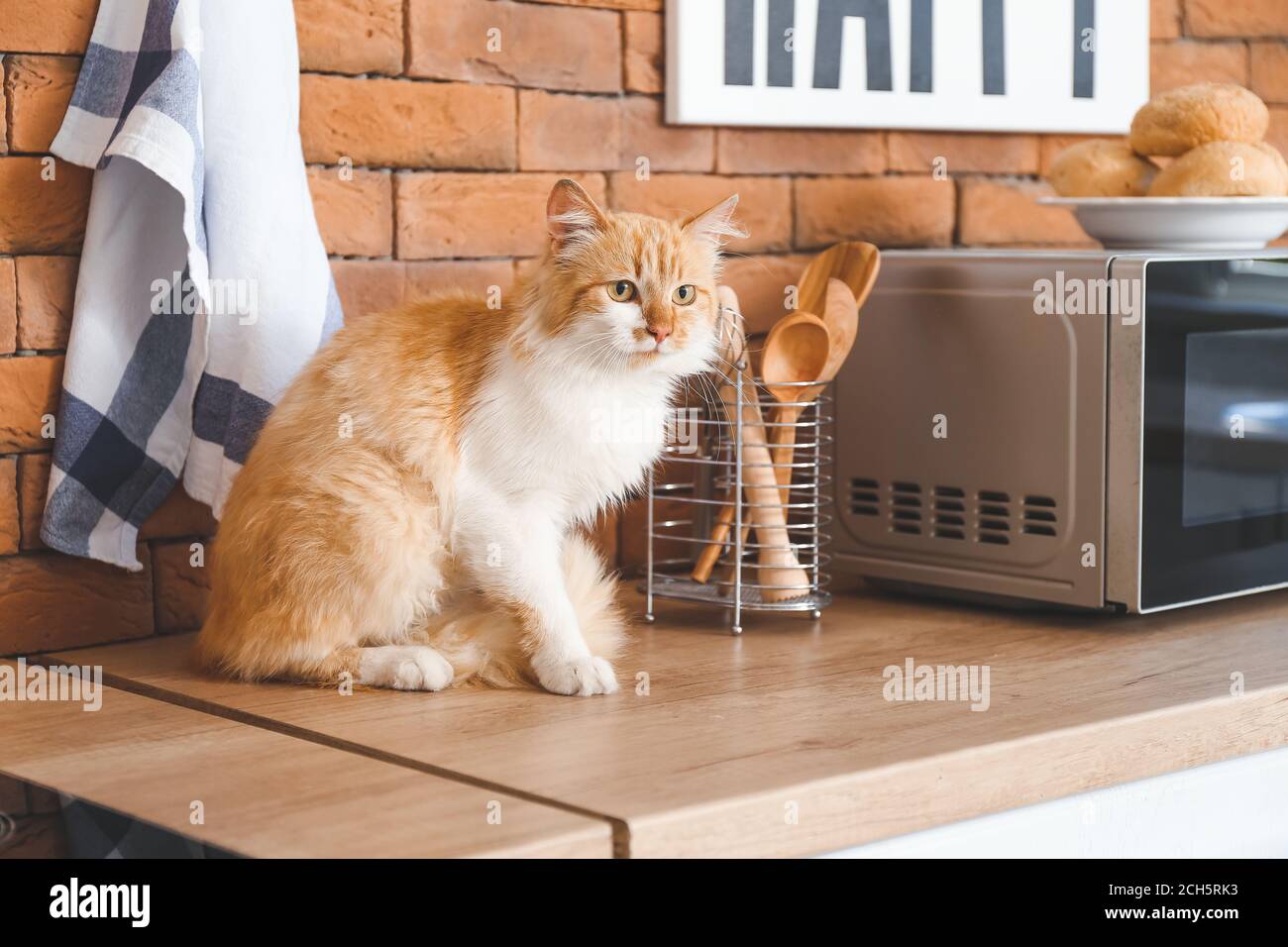 Microwave funny hi-res stock photography and images - Alamy