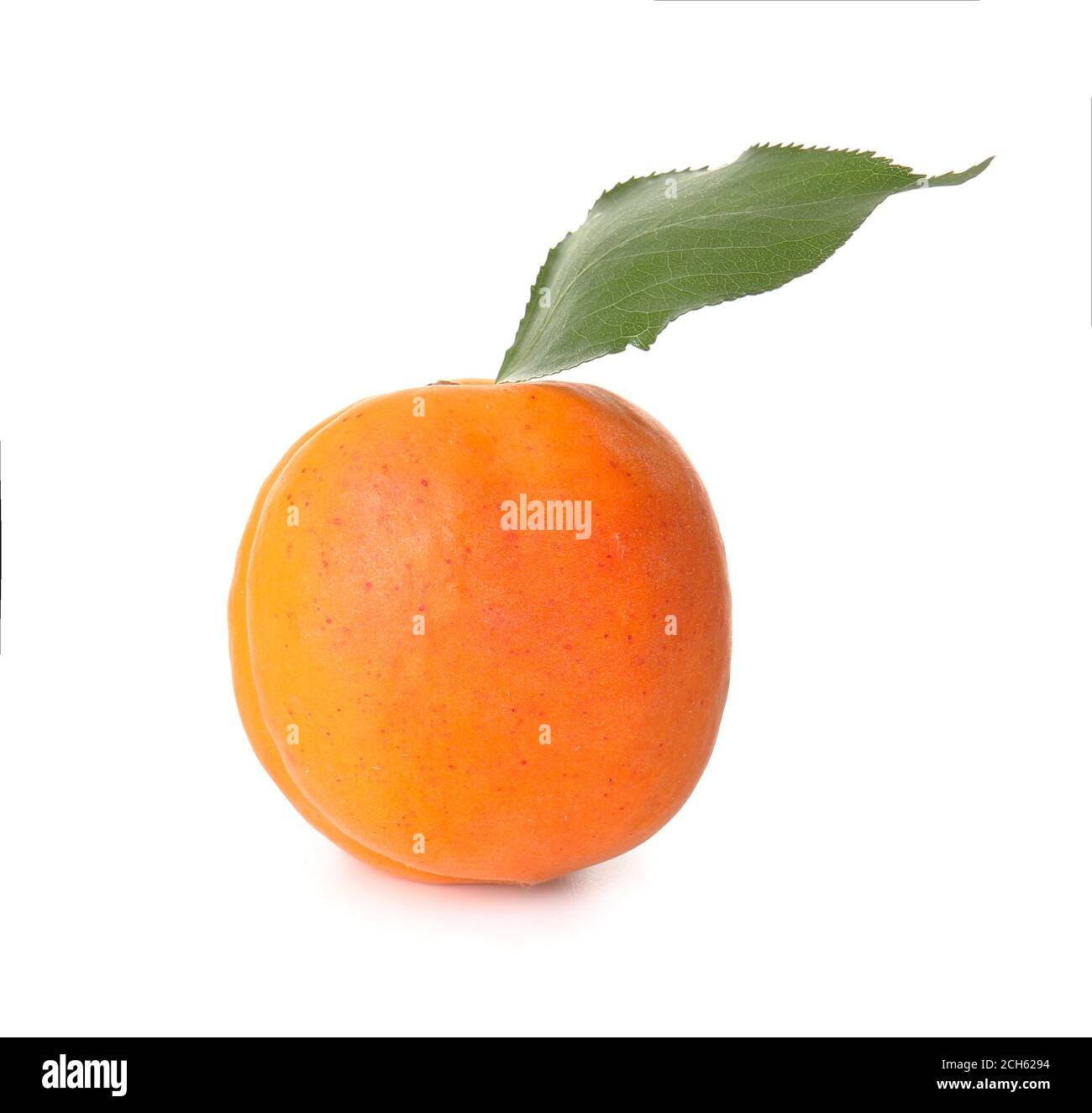 Tasty ripe apricot on white background Stock Photo - Alamy
