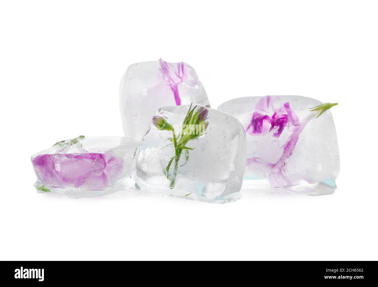 Frozen flowers in ice on white background Stock Photo Alamy