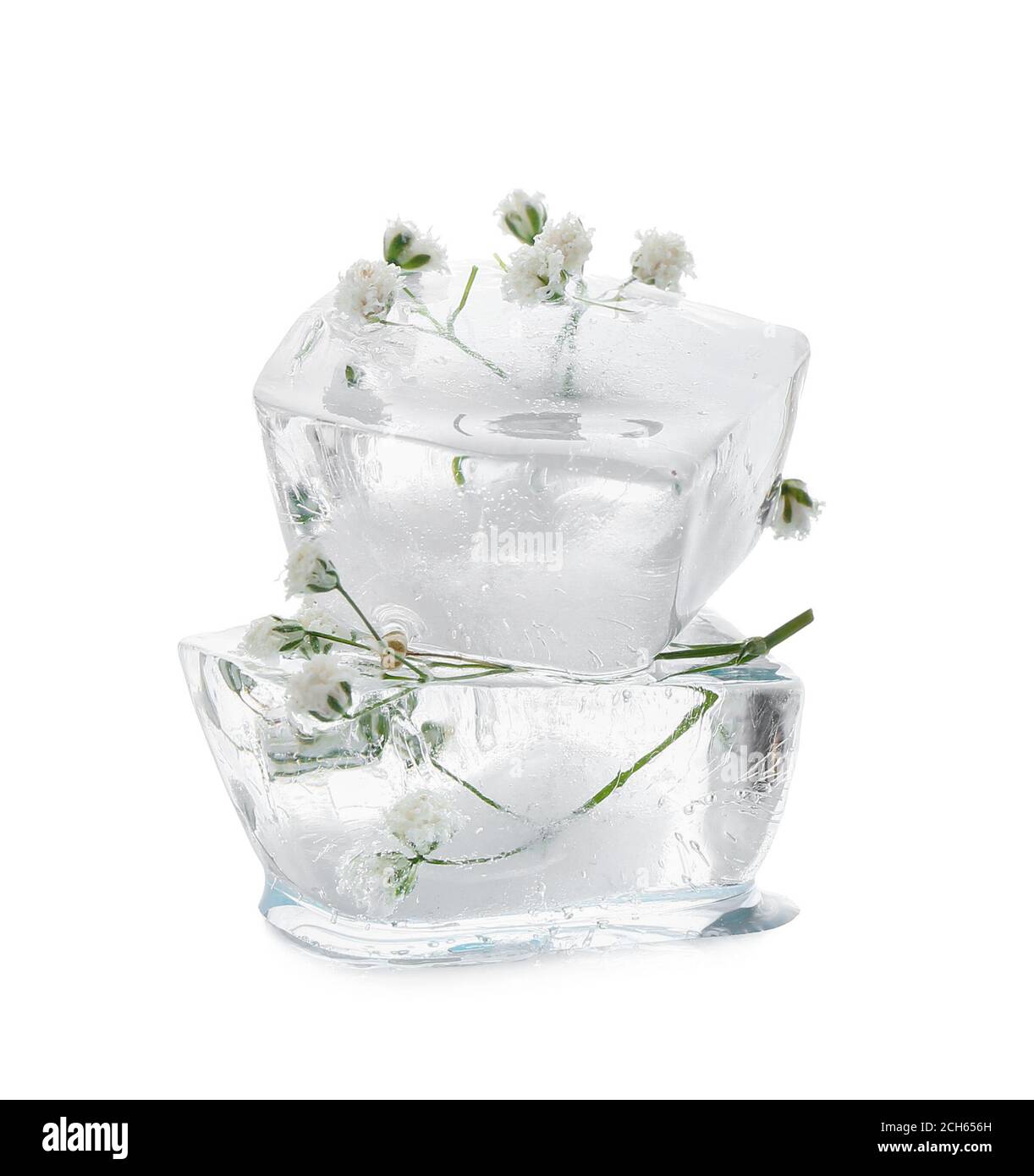 Frozen flowers in ice on white background Stock Photo Alamy