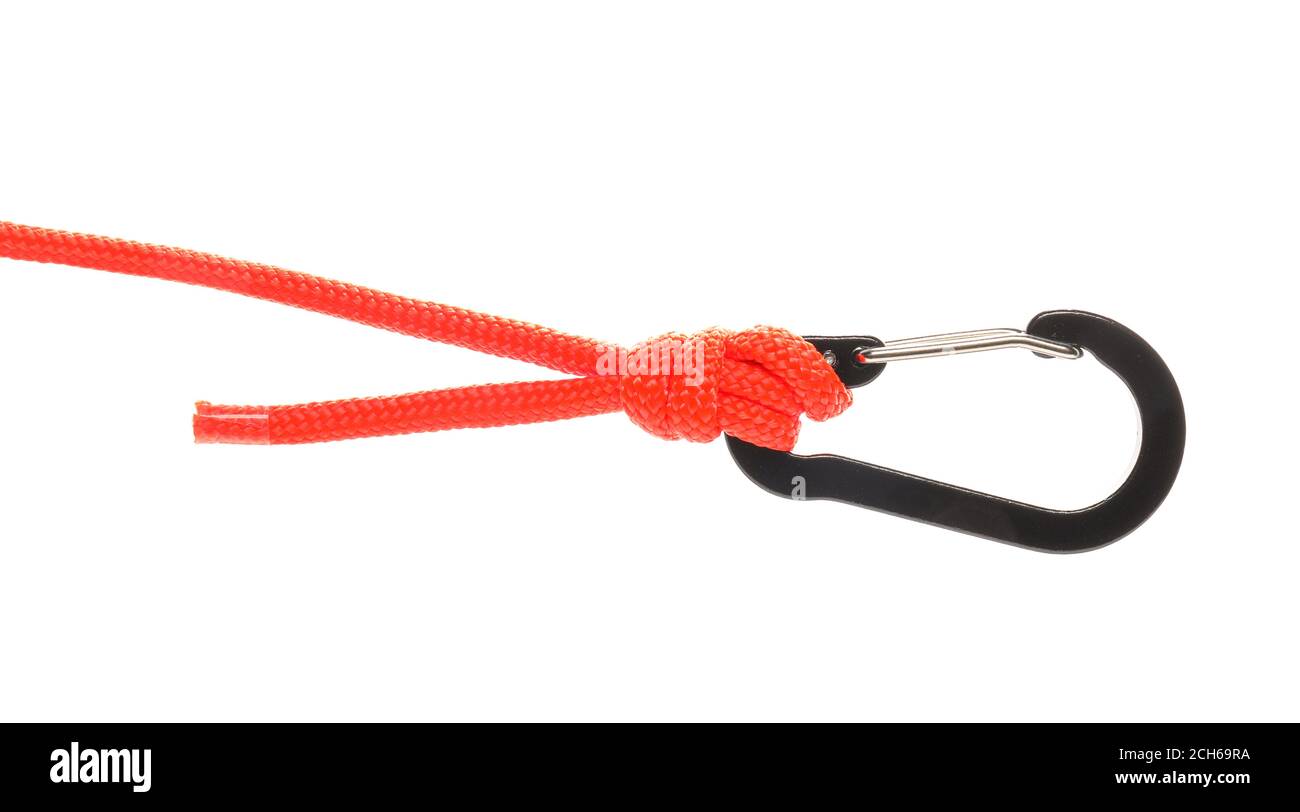 Material lobster Cut Out Stock Images & Pictures - Alamy