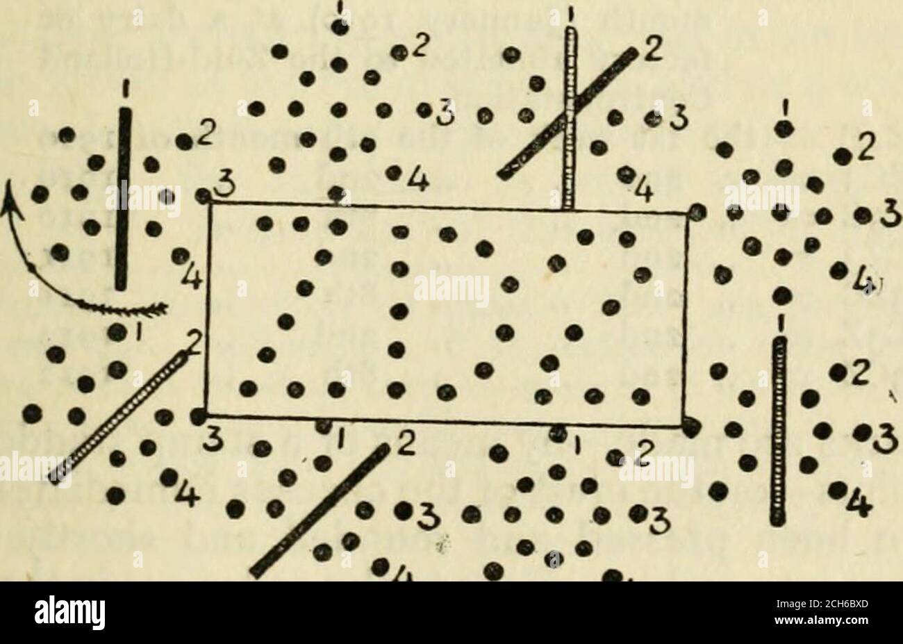 A free farmer in a free state: a study of rural life and industry and  agricultural politics in an agricultural country . SIGNS ON DUTCH CHEESE  The code with which to