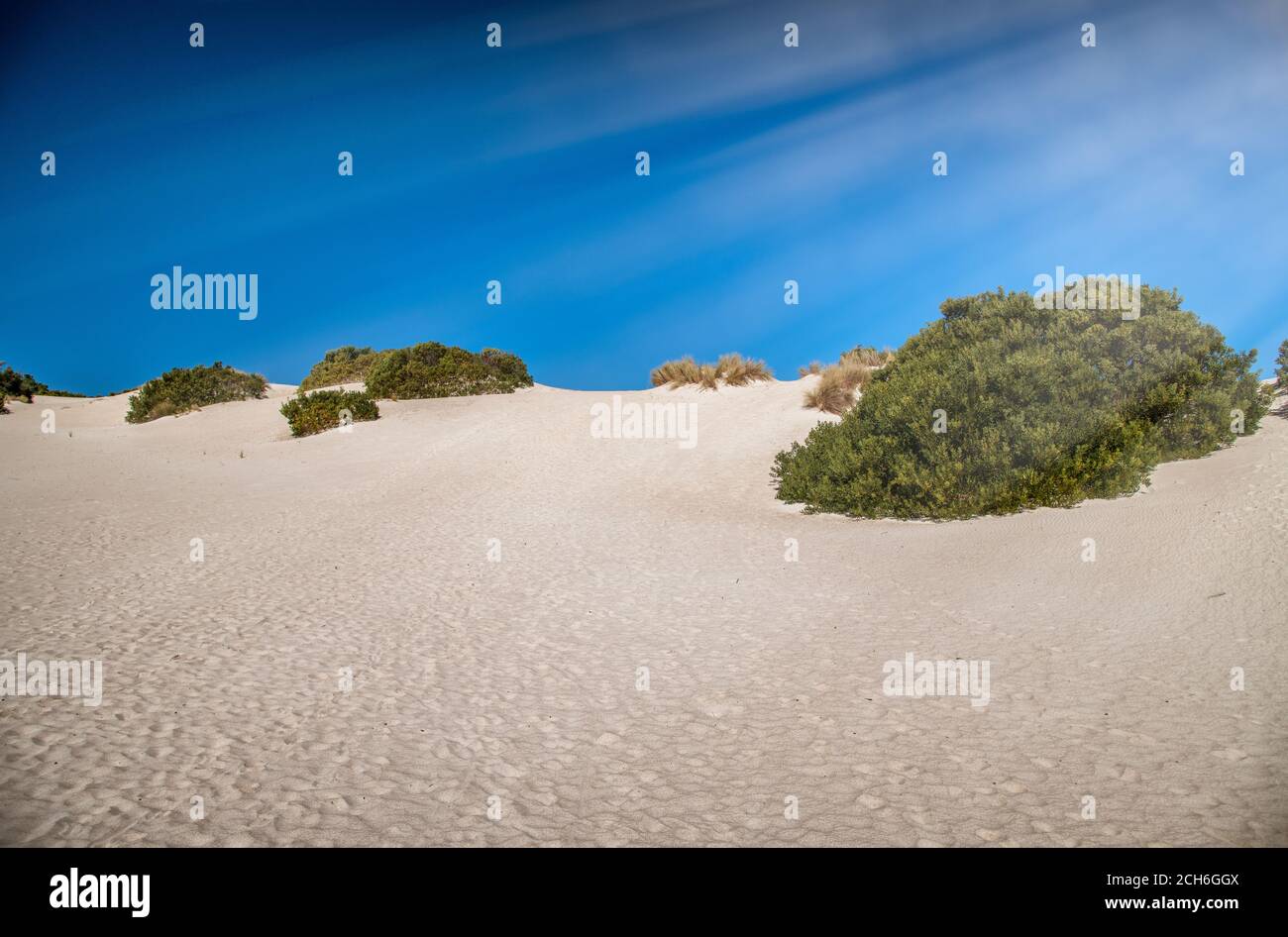 Little Sahara in Kangaroo Island. Desert bushes and blue sky. Stock Photo