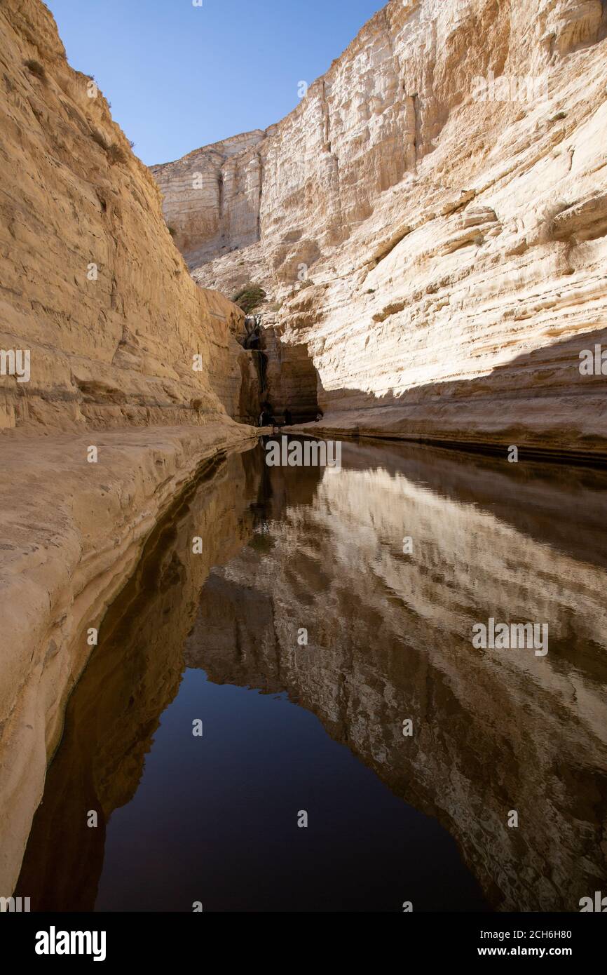 Ein Avdat or Ein Ovdat oasis is a canyon in the Negev Desert of Israel, south of Kibbutz Sde Boker. Archaeological evidence shows that Ein Avdat was i Stock Photo