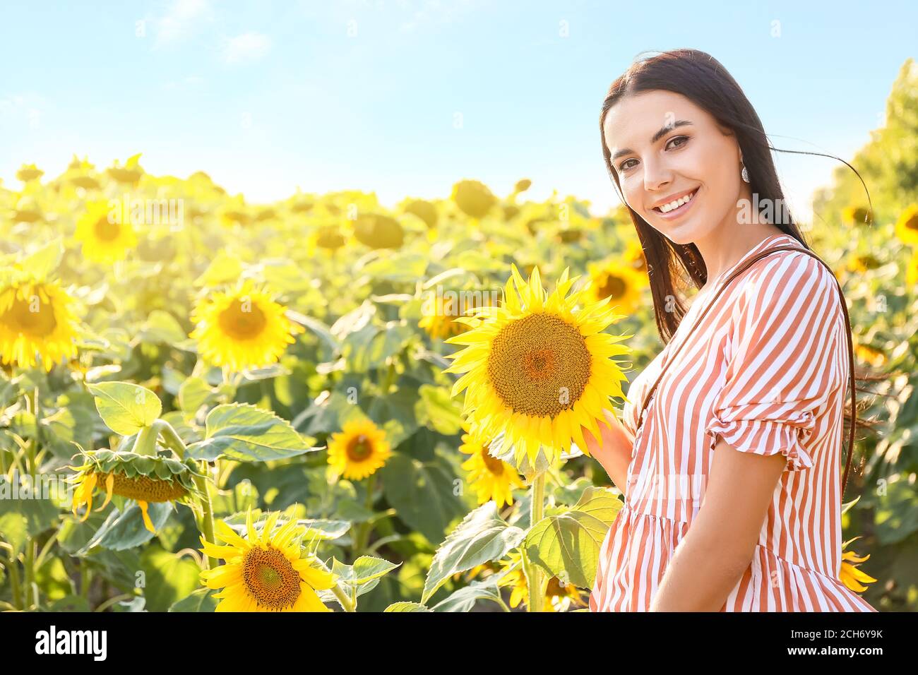 Beautiful young woman in sunflower field Stock Photo - Alamy