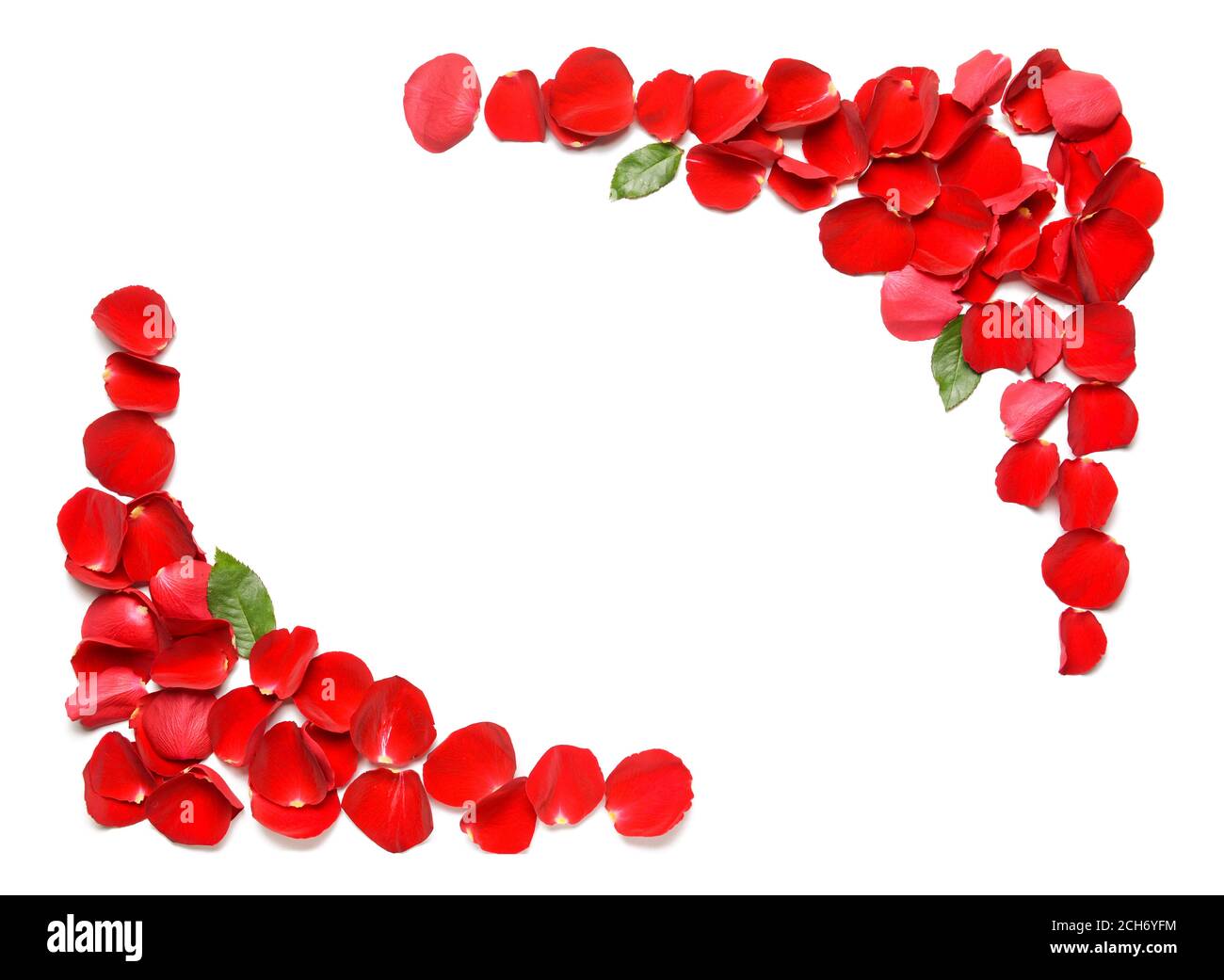Frame made of beautiful rose petals on light background Stock Photo - Alamy