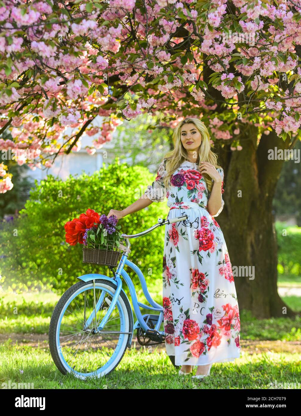 chinese dress ladies How to Ride a Bike in a Dress: Lifelong Reflections of a Sister Missionary:  Donna Paulette Young: 9780988810747: Amazon.com: Books main image 0