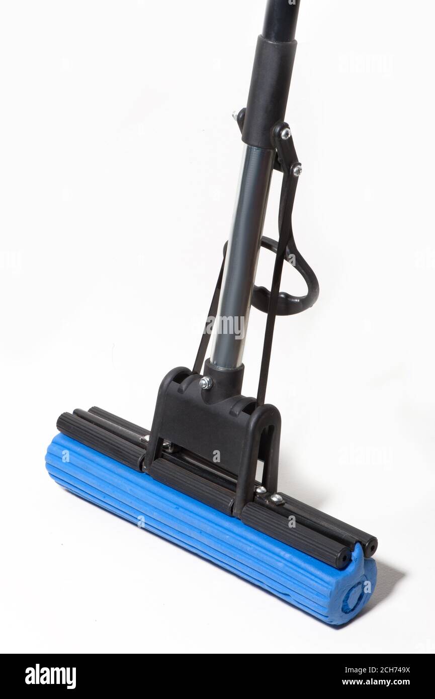 Blue black mop on white background Stock Photo