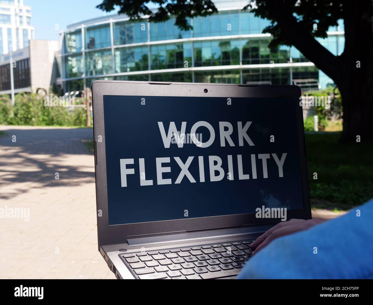 Work flexibility. A man in the park reads information on a laptop. Stock Photo