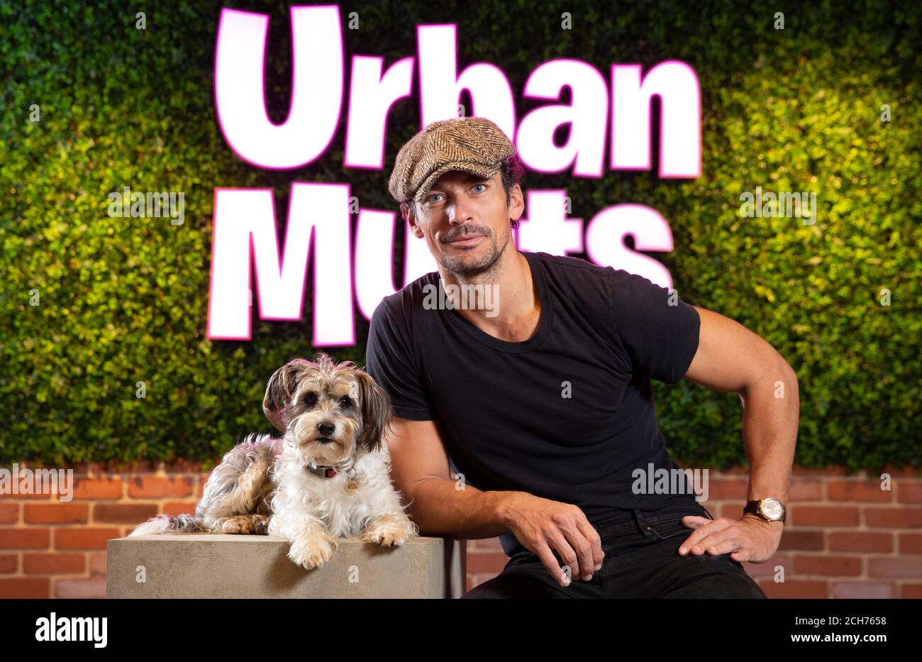 Model David Gandy and his dog Dora at the opening of Urban Mutts, the UK's first Dog Club and Hotel, providing a luxury service for London's pets and their owners at Westfield London. Stock Photo