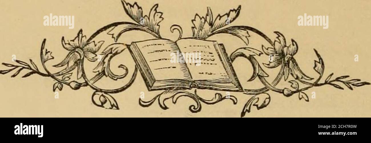 Page 5 - Ná»ti High Resolution Stock Photography and Images - Alamy
